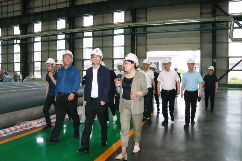 贵阳市政协副主席、清镇市委书记付涛一行到大发国际铝业考察