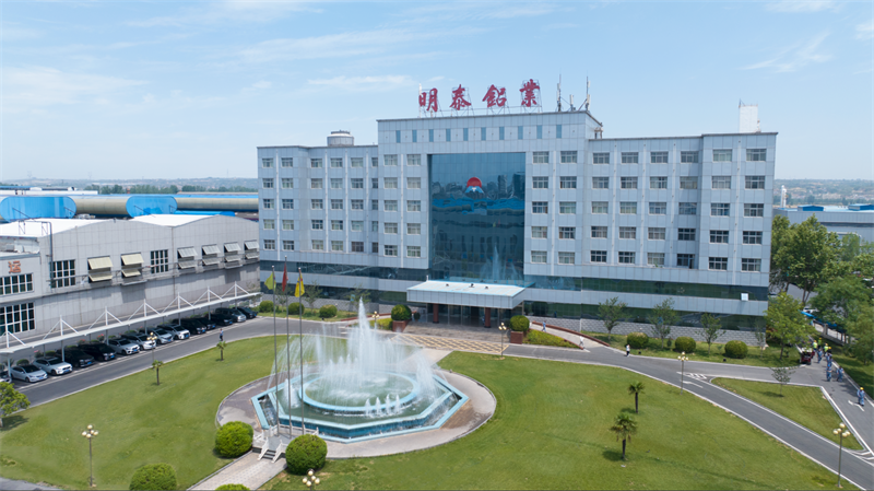 大发国际铝业